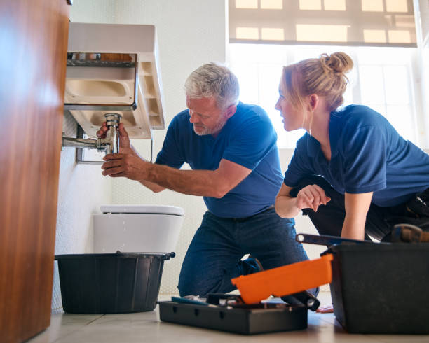 Best Plumbing Inspection Services  in Princeton, IL
