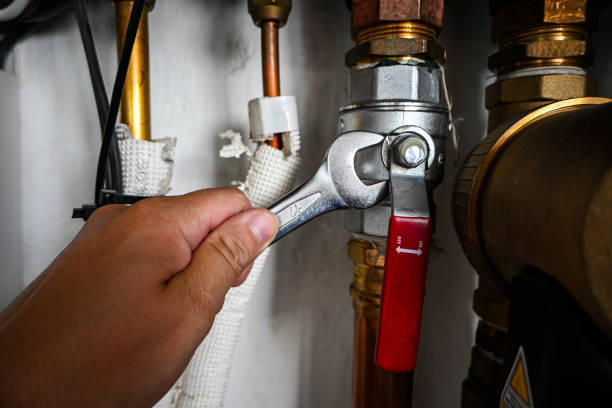 Best Plumbing Inspection Services  in Princeton, IL